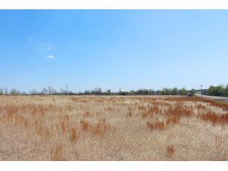 Property photo 17 - OKLAHOMA LAND AUCTION, 550+/- Acres offered in 7 Tracts